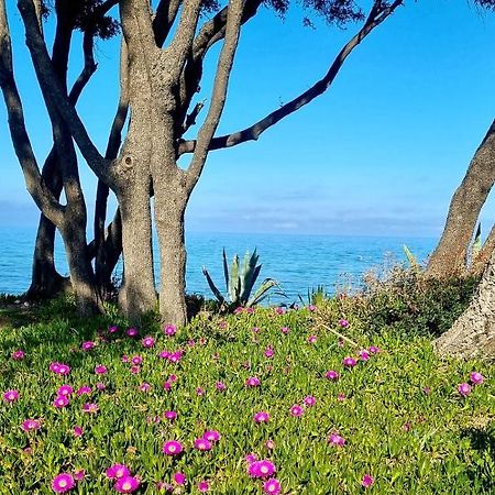 סרביון Maison U Nidu A 500M De La Mer מראה חיצוני תמונה