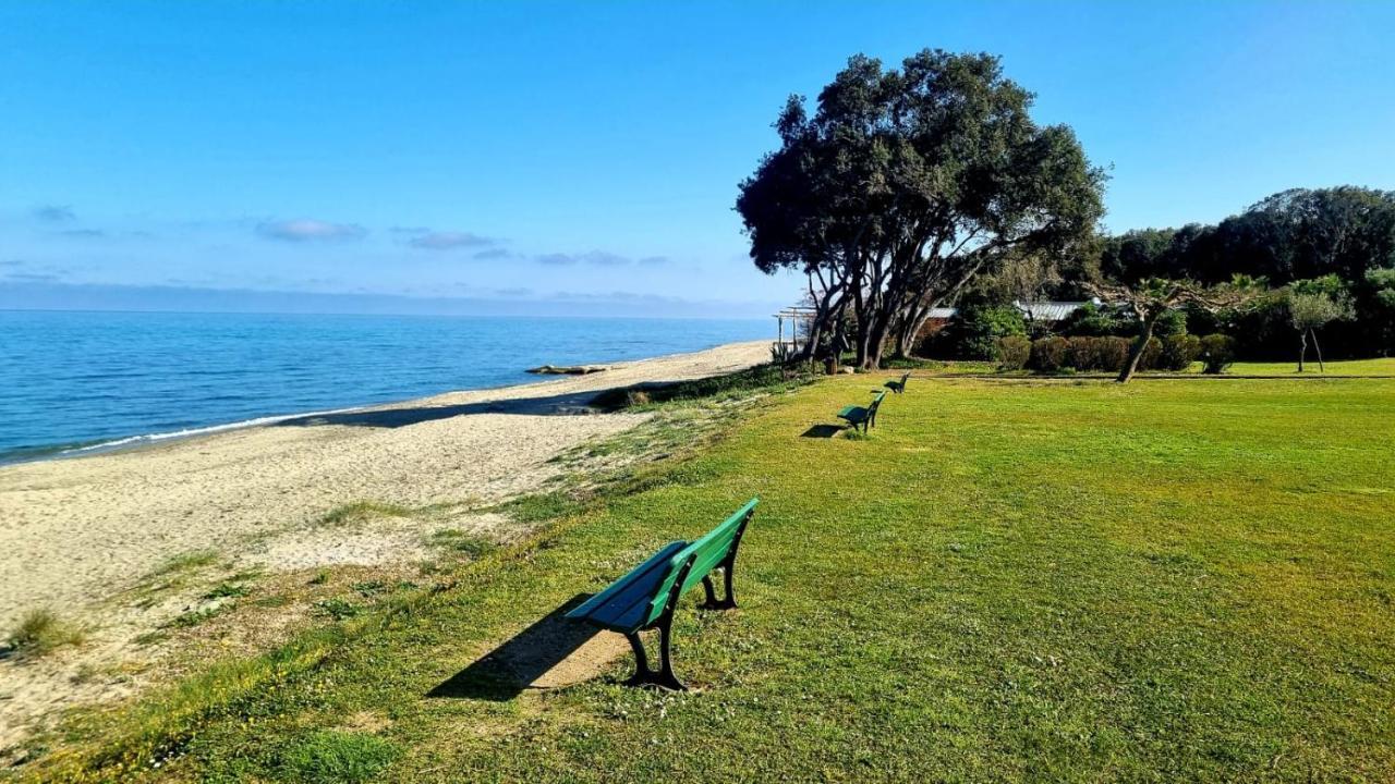 סרביון Maison U Nidu A 500M De La Mer מראה חיצוני תמונה