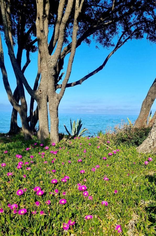 סרביון Maison U Nidu A 500M De La Mer מראה חיצוני תמונה